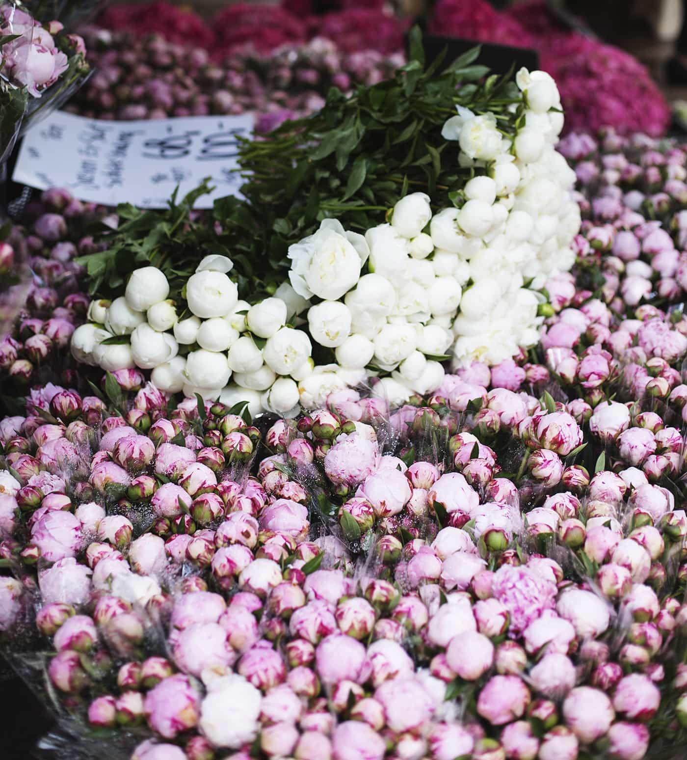 Copenhagen | wanderlust | flower market | peonies