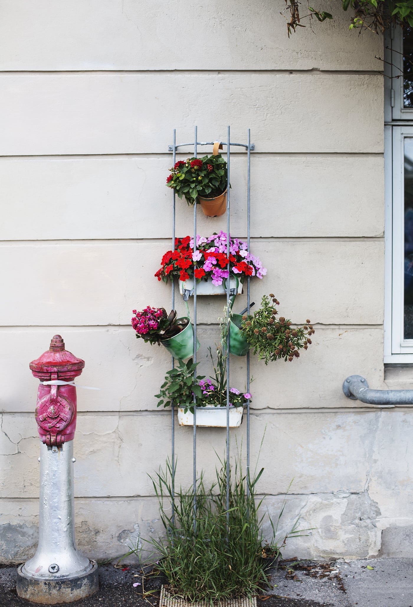 Copenhagen | wanderlust | street flowers