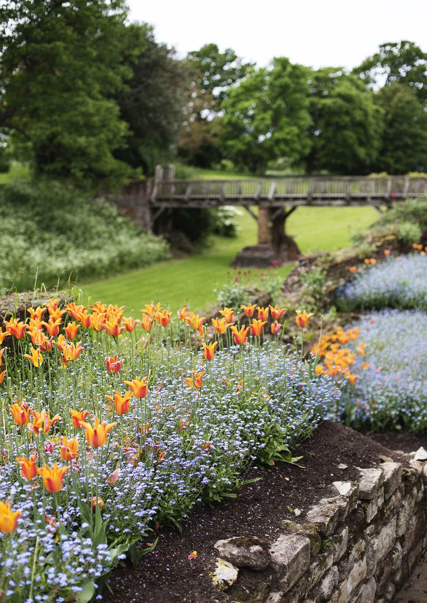 The White Company summer entertaining | flower beds