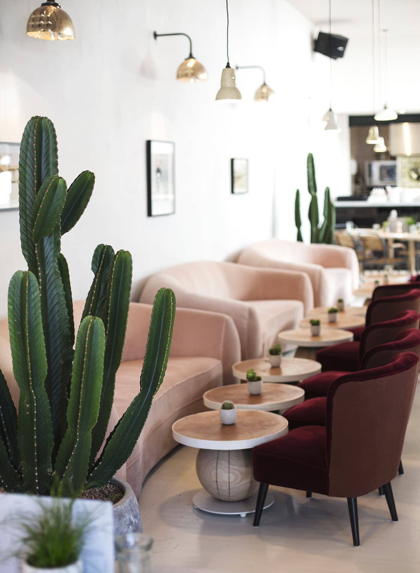 no197 chiswick firestation | velvet sofa inspiration| cactus