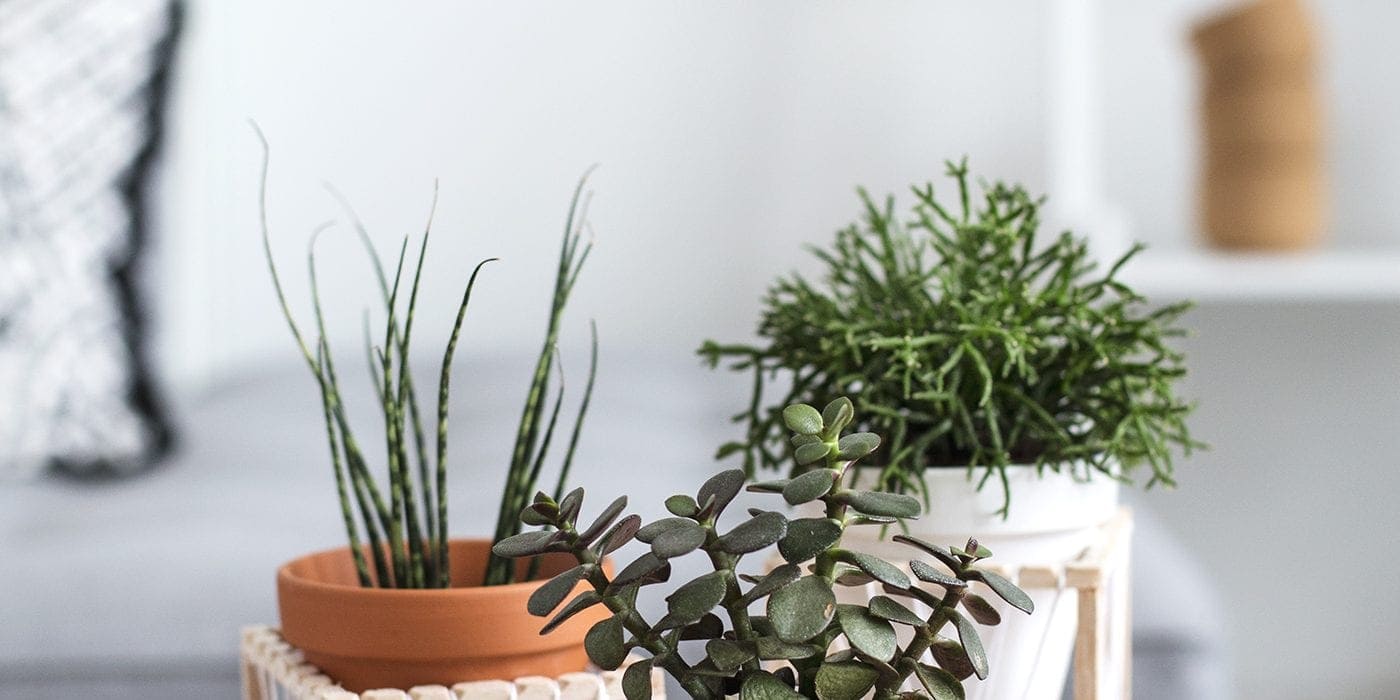 DIY decorative plant stands 1